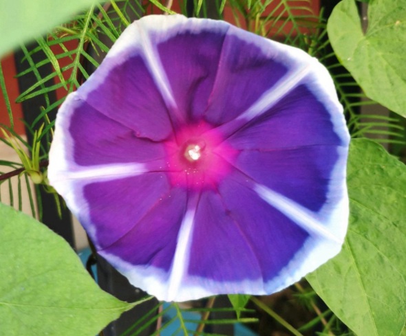 image.jpg
