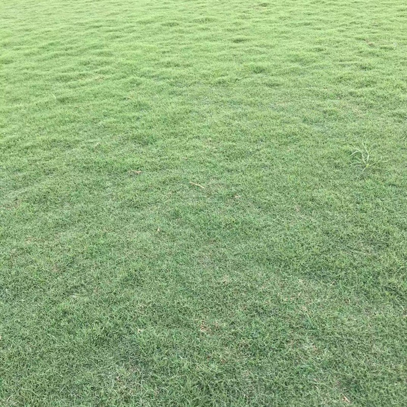馬尼拉